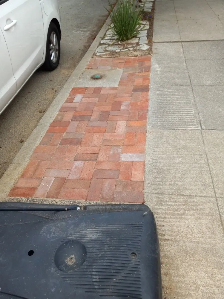 Trusted garden landscaping for year-round maintenance in Alameda, CA by TreeSchool Landscaping