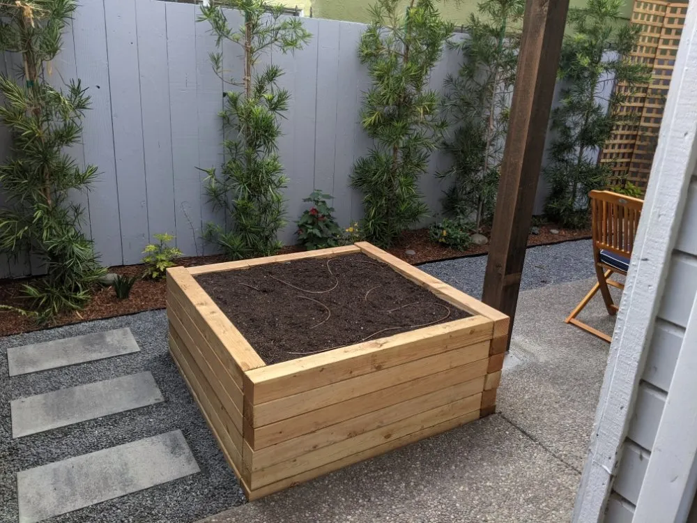 Custom landscape design near you in Alameda, CA by TreeSchool Landscaping