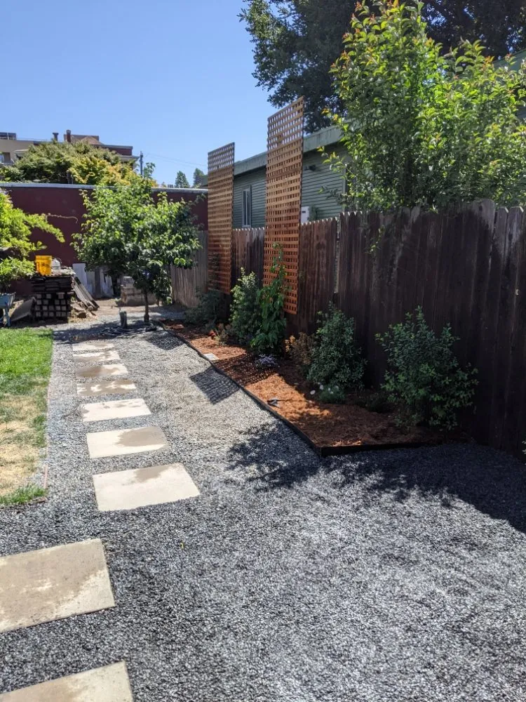 Affordable landscape installation for year-round maintenance across Alameda, CA - TreeSchool Landscaping