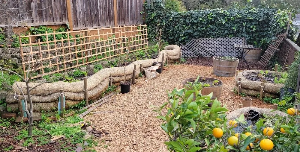 Local yard maintenance experts serving Alameda, CA - TreeSchool Landscaping