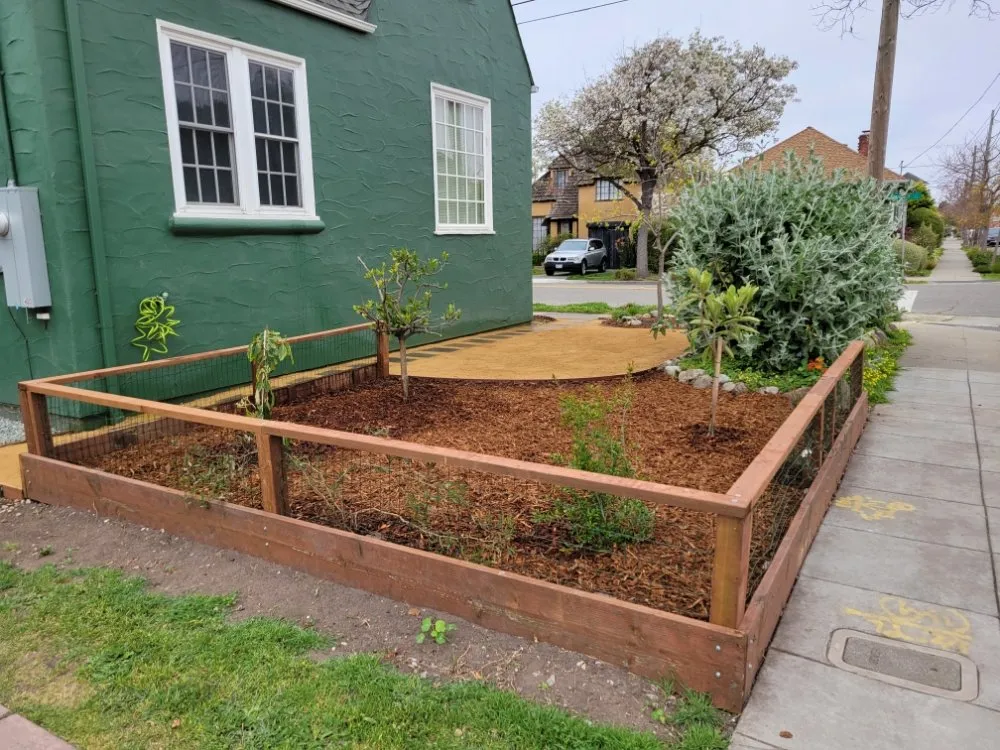 Local lawn mowing service in Alameda, CA - TreeSchool Landscaping