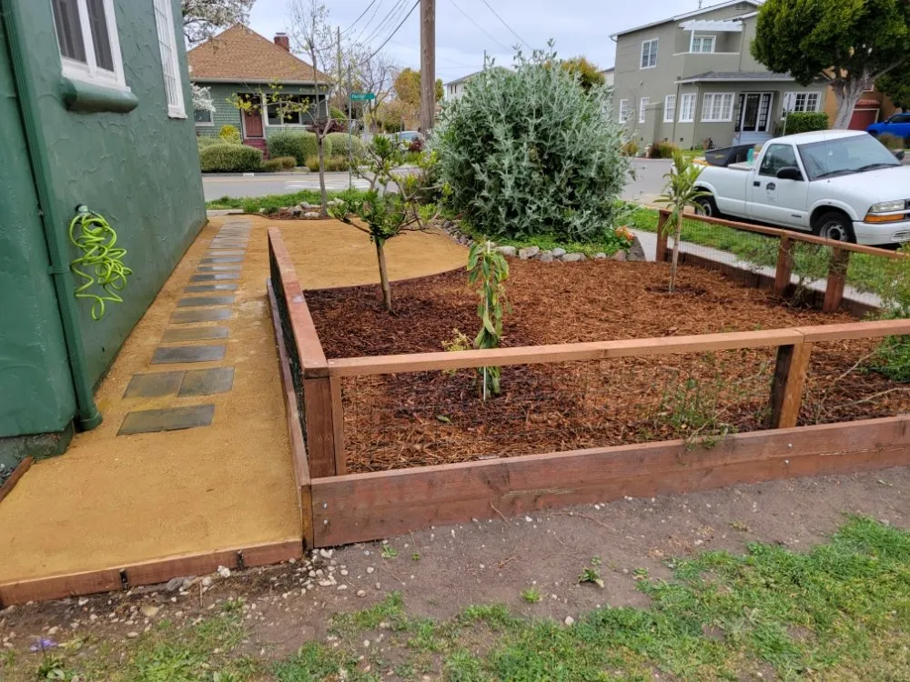 Expert yard cleanup service experts serving Alameda, CA - TreeSchool Landscaping