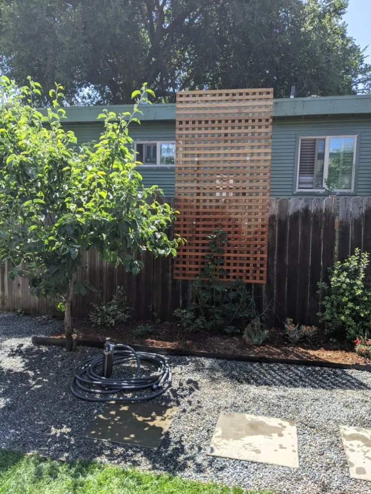 Reliable yard maintenance for homes in Alameda, CA by TreeSchool Landscaping