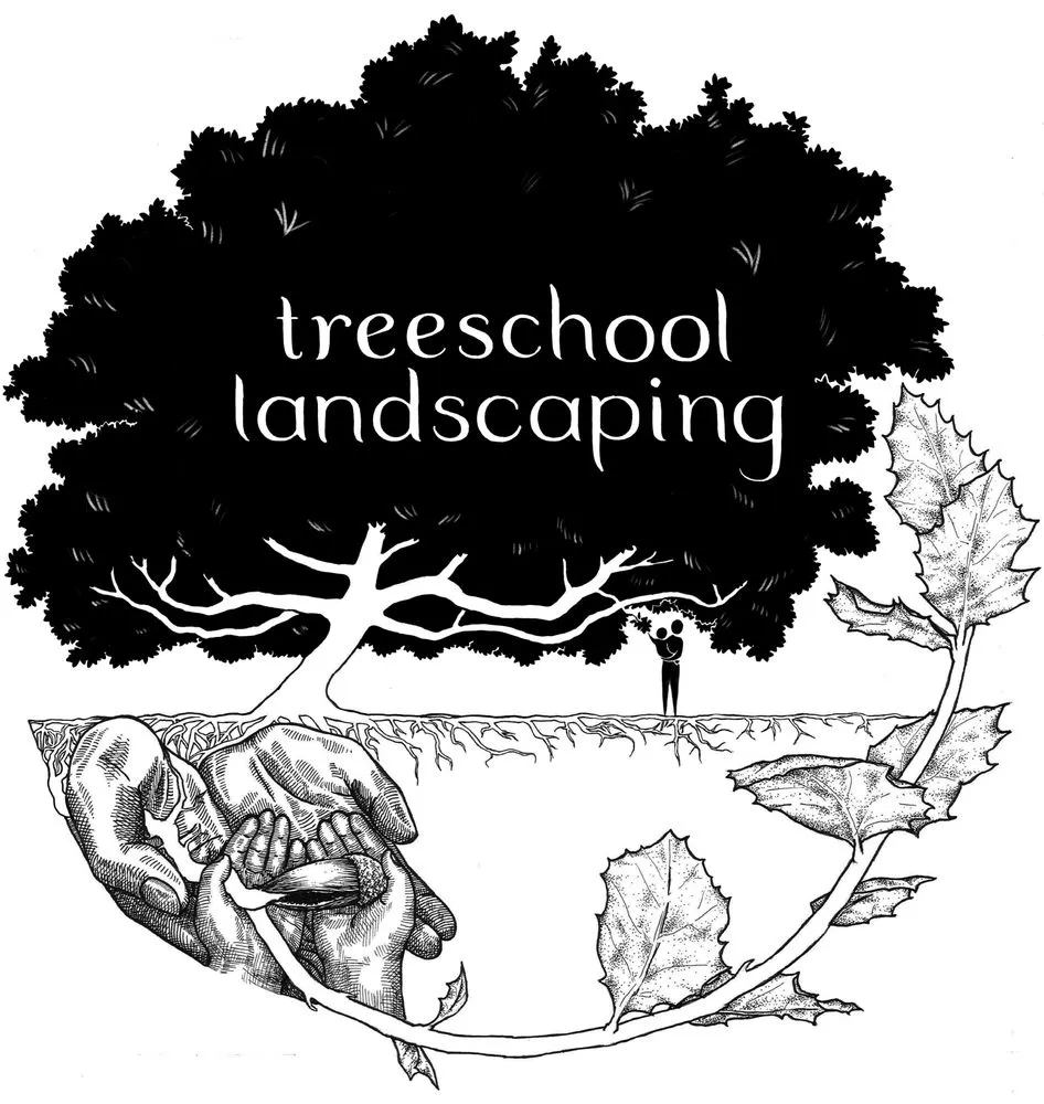 Top-rated lawn mowing service in Alameda, CA by TreeSchool Landscaping