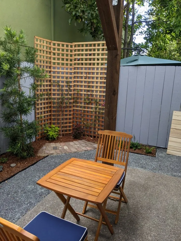 Professional yard cleanup service for year-round maintenance in Alameda, CA by TreeSchool Landscaping