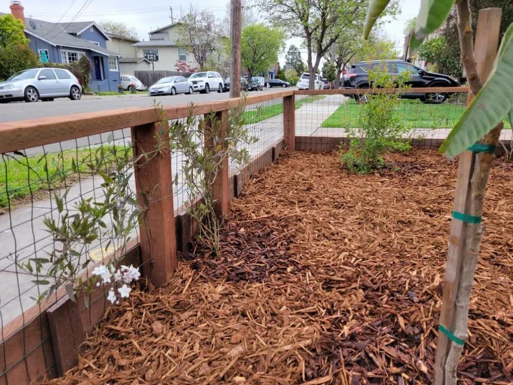 Trusted residential landscaping in Alameda, CA by TreeSchool Landscaping