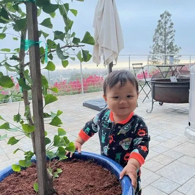 TreeSchool Landscaping Logo