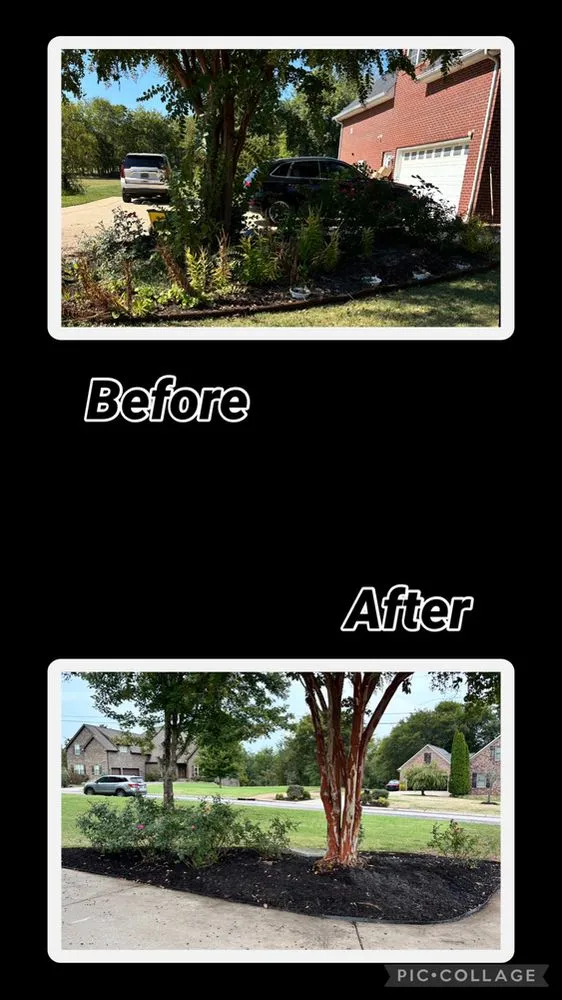 Reliable landscape design in Columbia, TN - Treesin Tree and Landscape Consulting