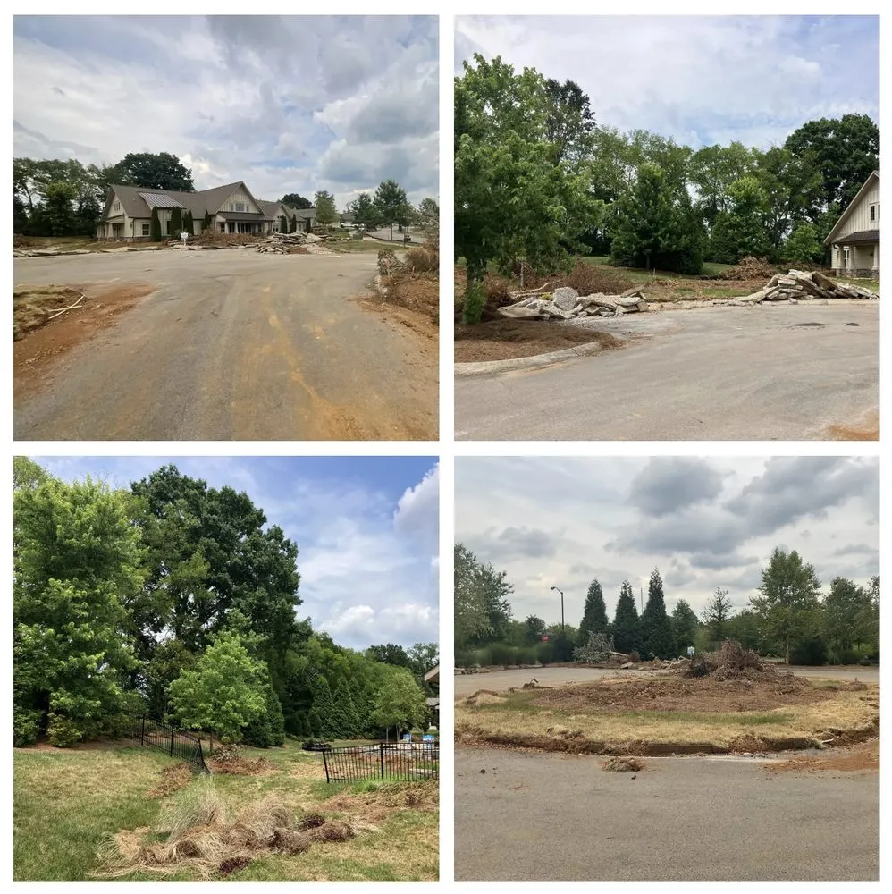 Affordable yard cleanup service experts serving Columbia, TN - Treesin Tree and Landscape Consulting