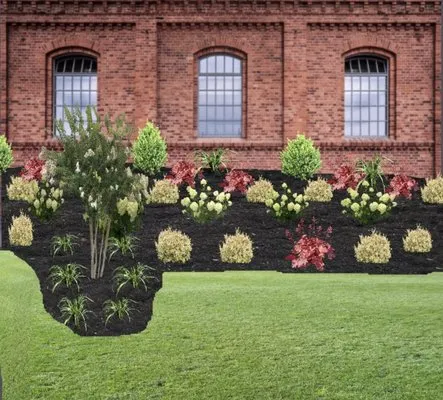 Treesin Tree and Landscape Consulting