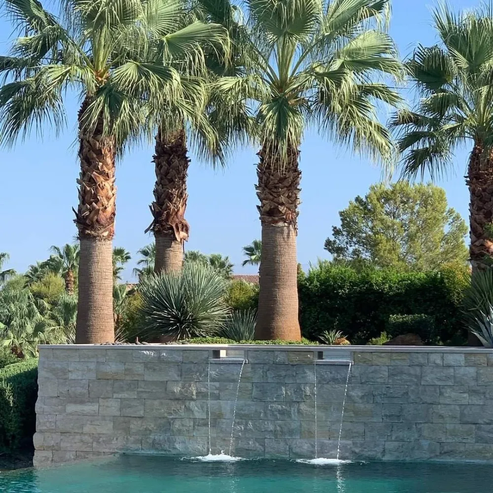 Custom residential landscaping with custom design across Indian Wells, CA - Treestora