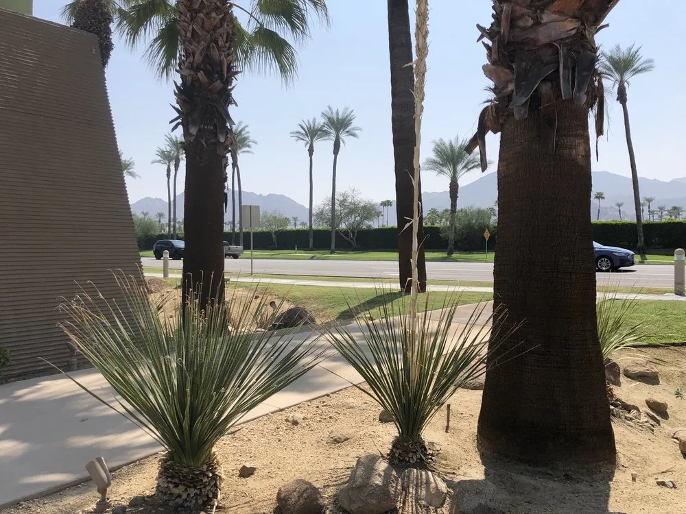 Expert landscape design experts serving Indian Wells, CA - Treestora