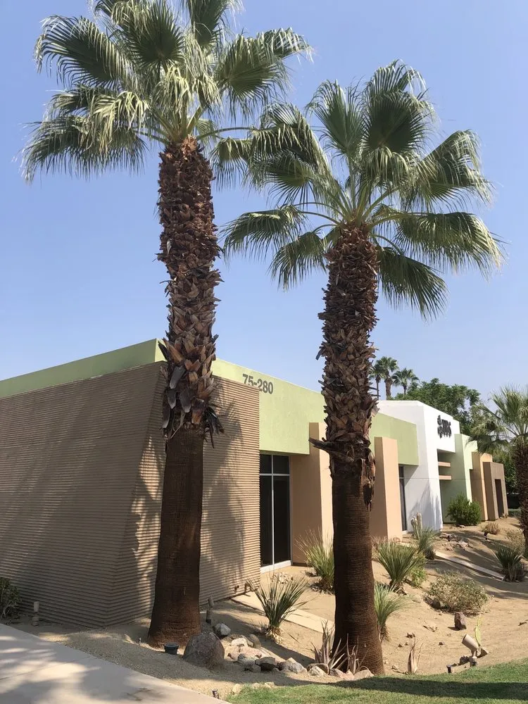 Professional outdoor landscaping experts serving Indian Wells, CA - Treestora