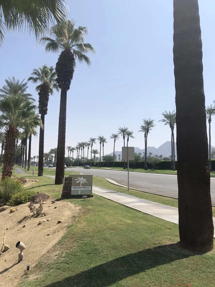 Affordable landscape design in Indian Wells, CA - Treestora