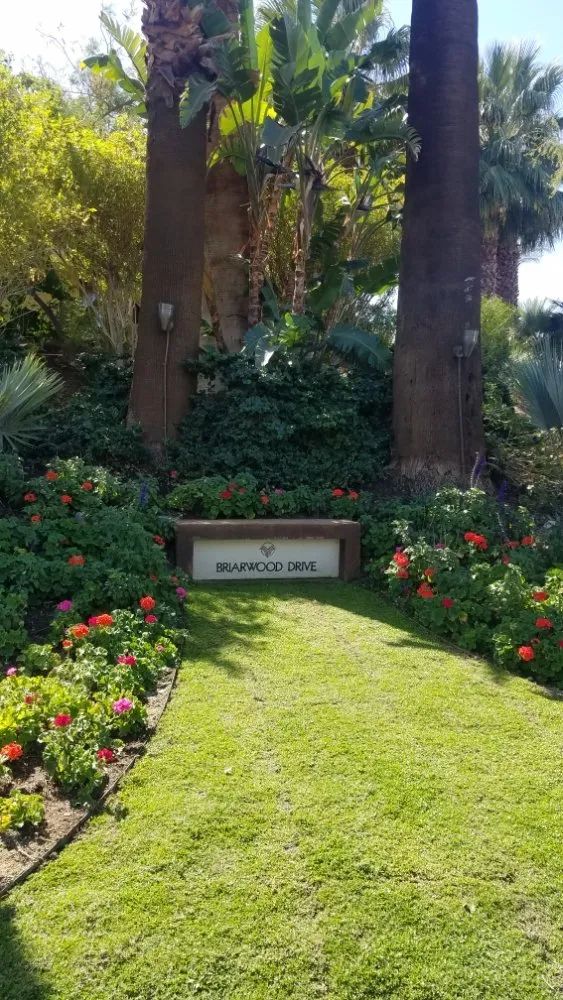 Trusted lawn mowing service with custom design in Indian Wells, CA by Treestora