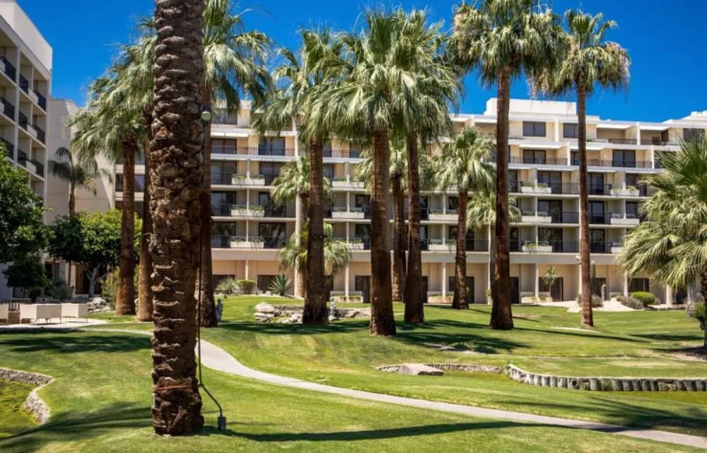 Trusted yard cleanup service experts serving Indian Wells, CA - Treestora