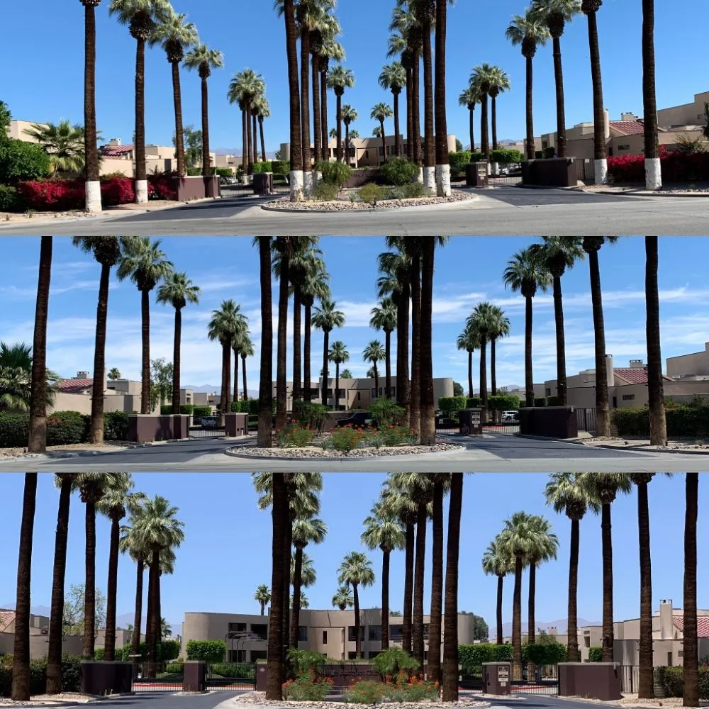 Trusted garden landscaping in Indian Wells, CA by Treestora