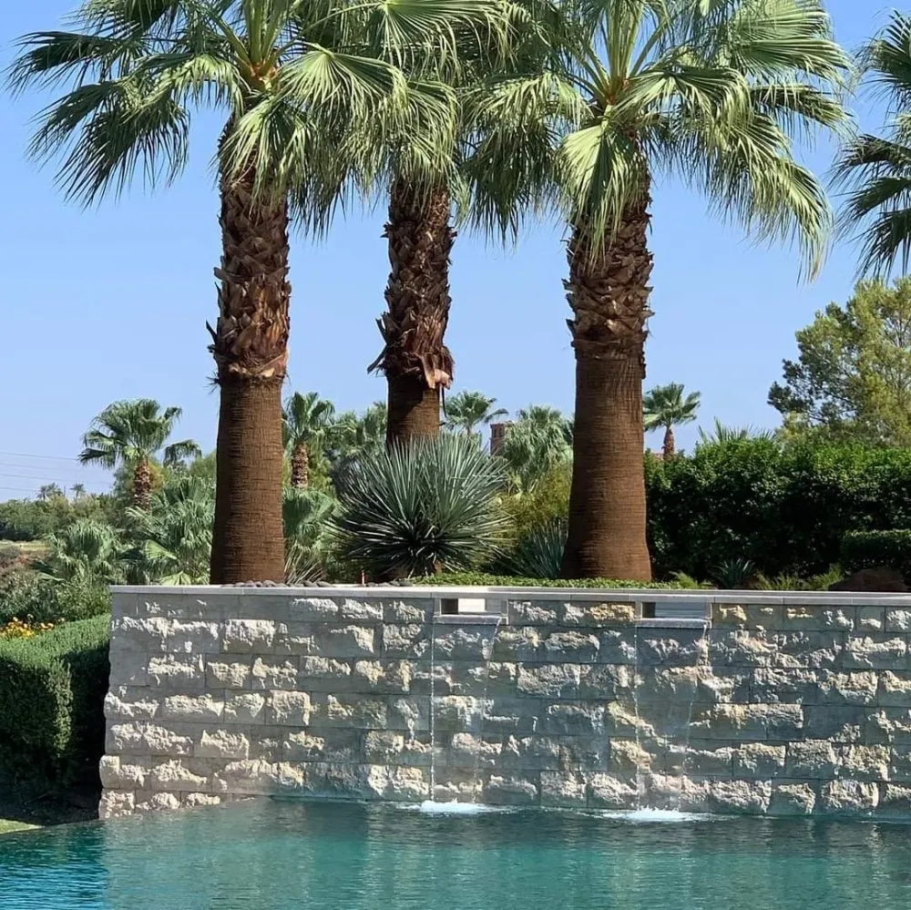 Trusted lawn care service in Indian Wells, CA - Treestora