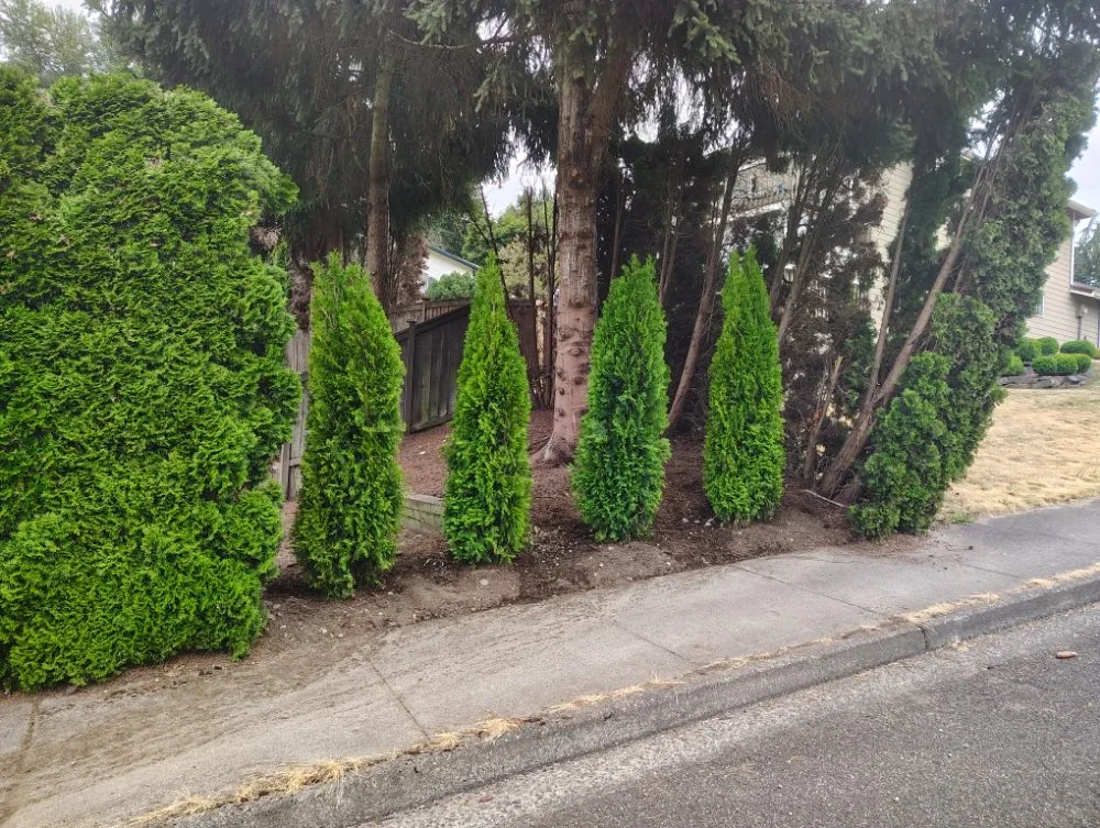 Reliable landscape installation for year-round maintenance across Auburn, WA - Treesus Landscape