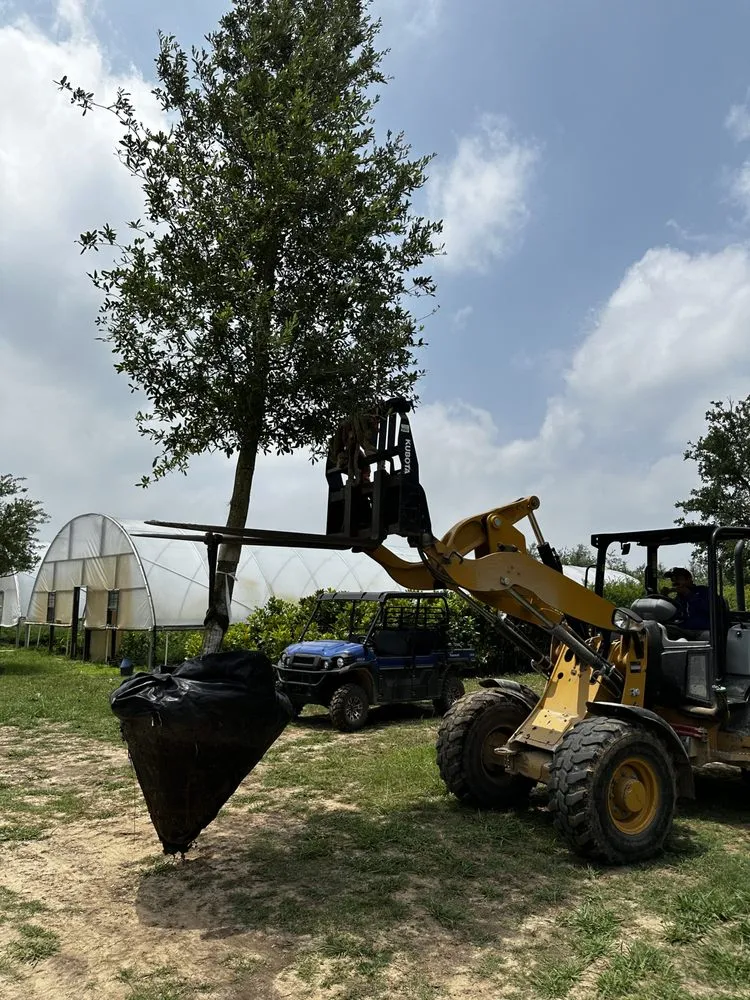 Reliable outdoor landscaping for beautiful yards in Kaufman, TX by TreesXSale - Nursery - Landscaping - Irrigation