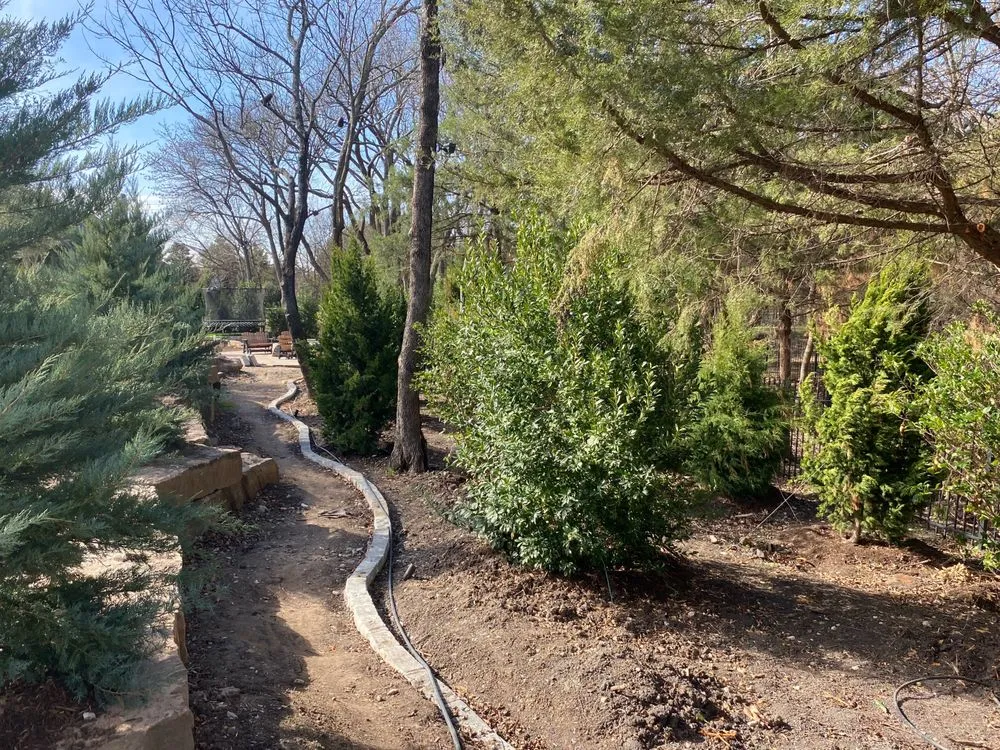 Professional landscape design for outdoor upgrades across Kaufman, TX - TreesXSale - Nursery - Landscaping - Irrigation