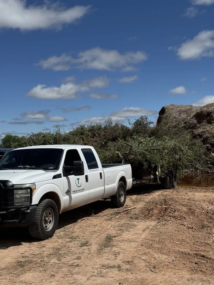 Top-rated garden landscaping in Clovis, NM - TreeTec solutions