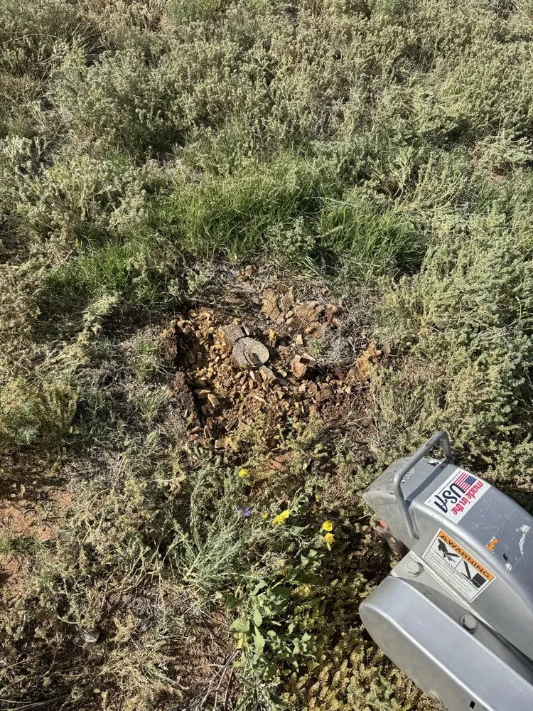 Local landscape installation in Clovis, NM by TreeTec solutions