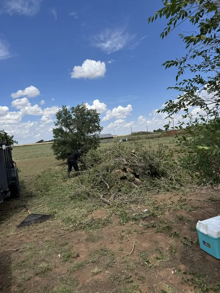 Affordable lawn care service with custom design in Clovis, NM by TreeTec solutions