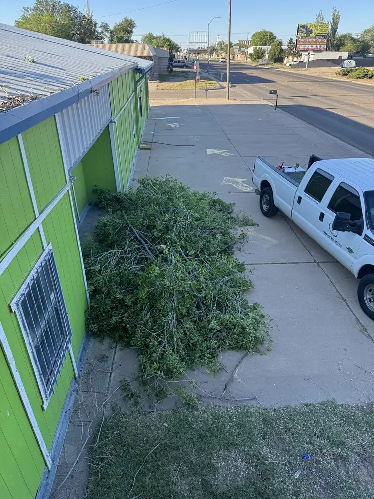 Custom residential landscaping in Clovis, NM - TreeTec solutions