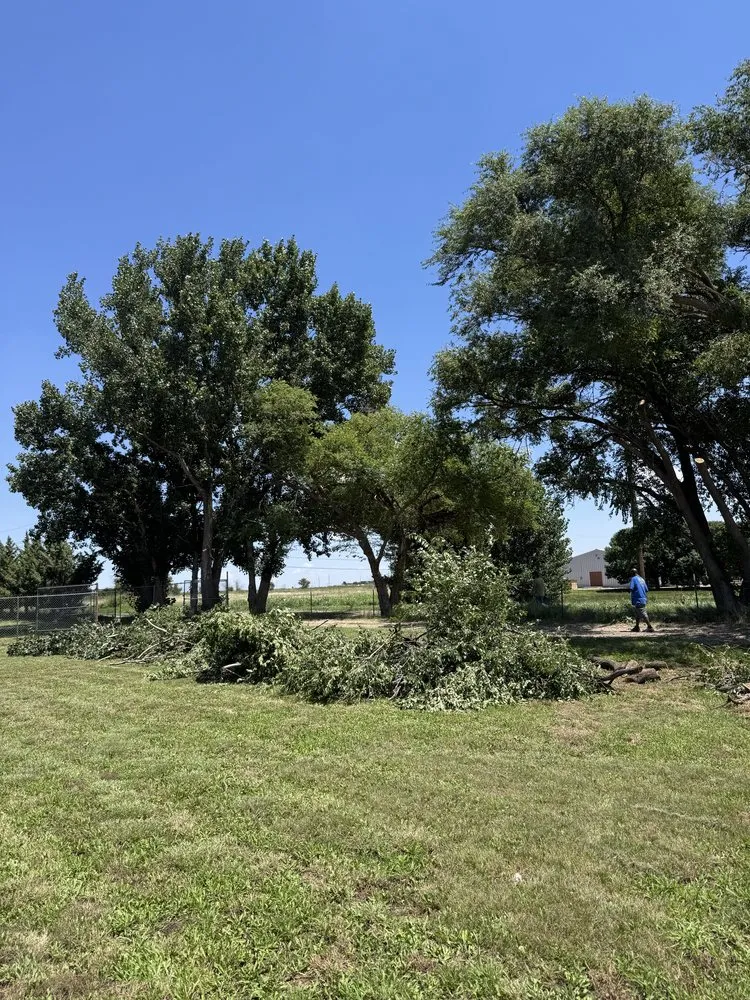 Top-rated lawn mowing service experts serving Clovis, NM - TreeTec solutions