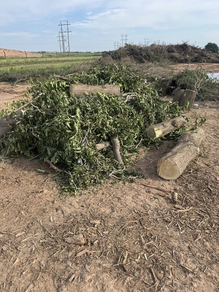 Expert outdoor landscaping experts serving Clovis, NM - TreeTec solutions