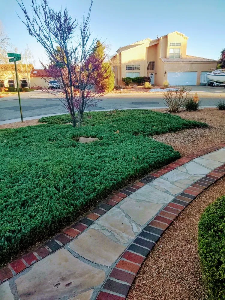 Top-rated yard cleanup service in Albuquerque, NM - Treetech