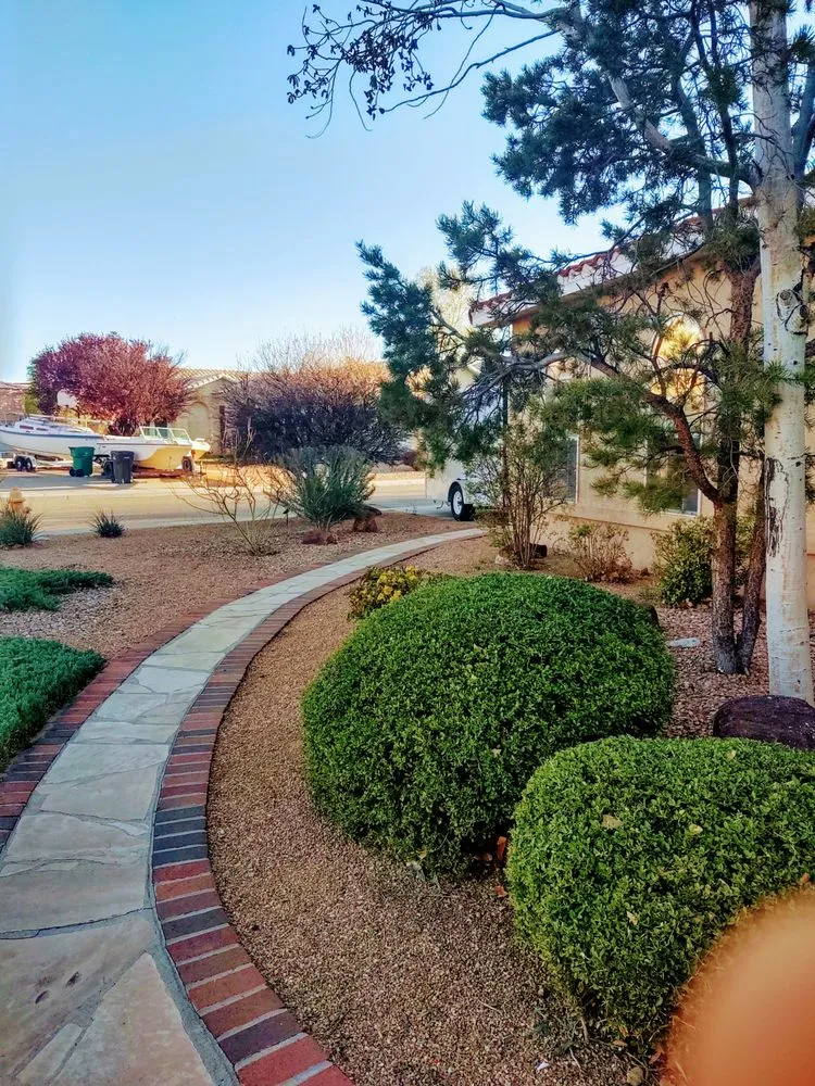 Trusted landscape design experts serving Albuquerque, NM - Treetech