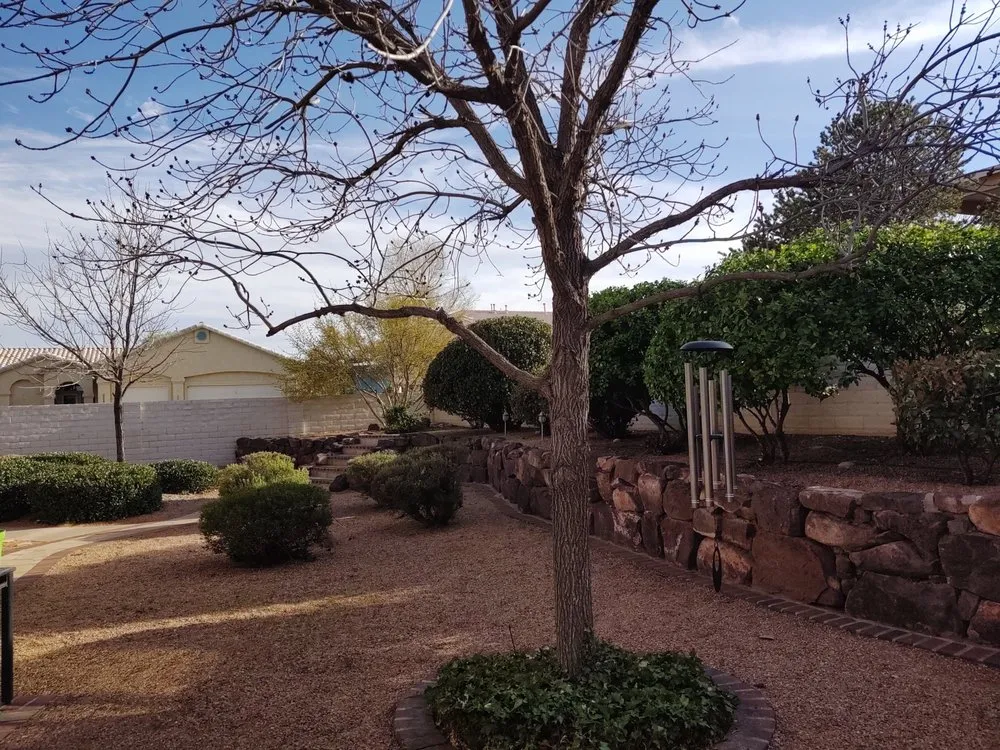 Top-rated lawn mowing service in Albuquerque, NM by Treetech