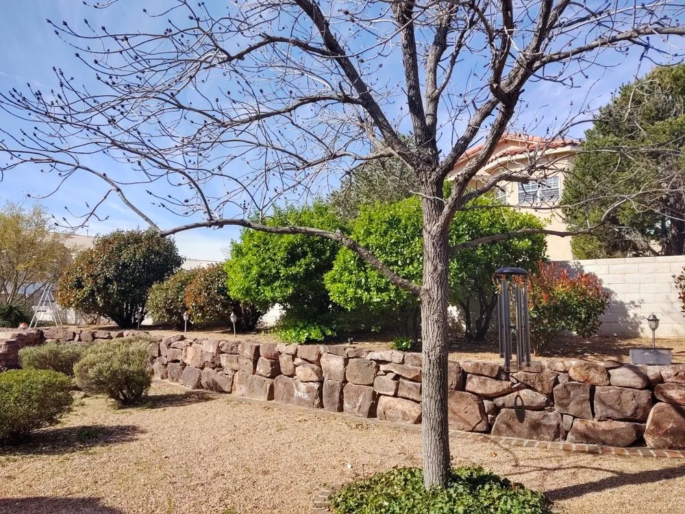 Reliable landscape installation near you across Albuquerque, NM - Treetech