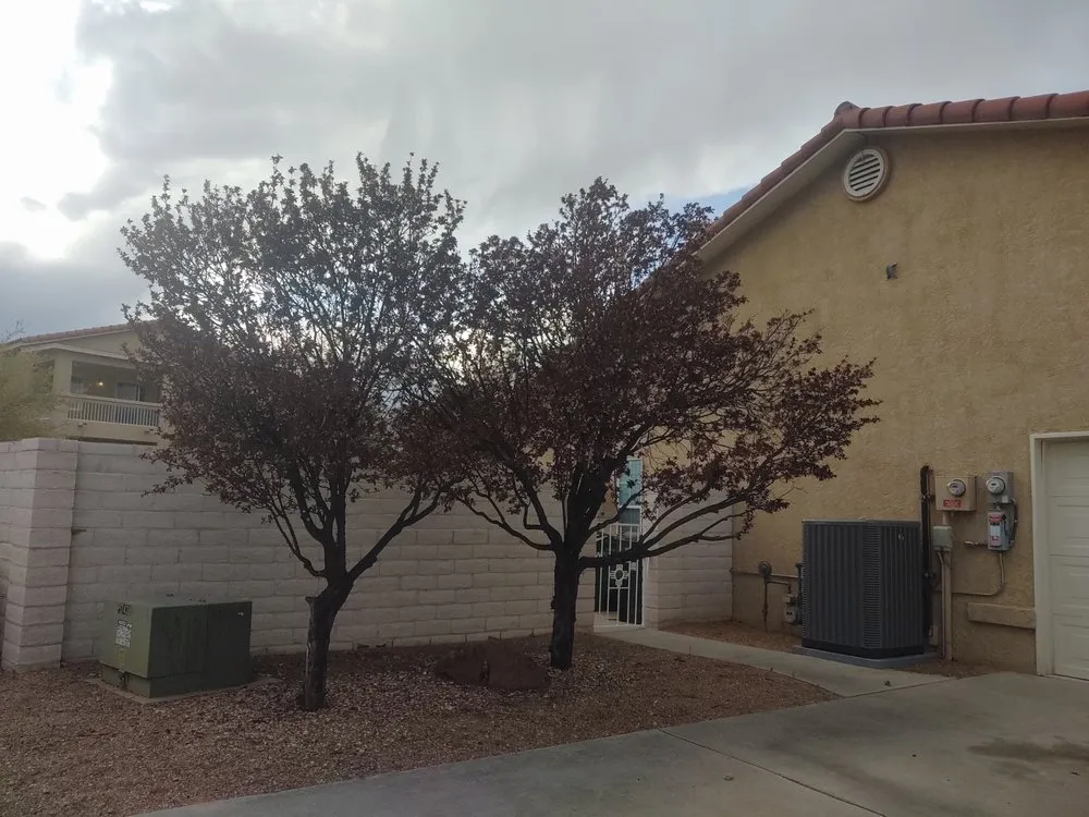 Local residential landscaping with custom design across Albuquerque, NM - Treetech