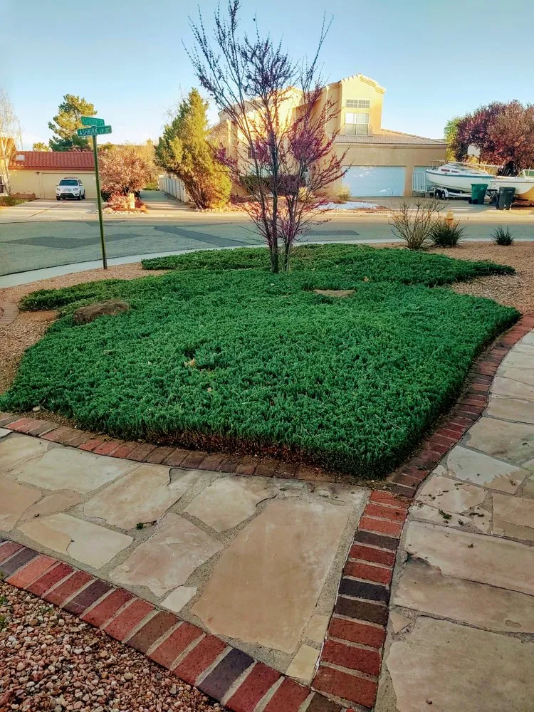Custom landscape installation in Albuquerque, NM - Treetech