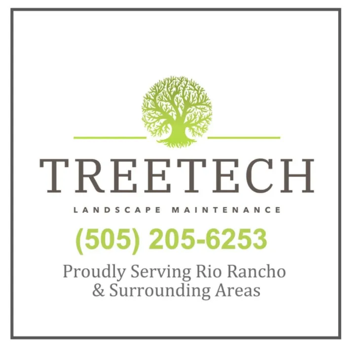 Local landscape installation in Albuquerque, NM by Treetech