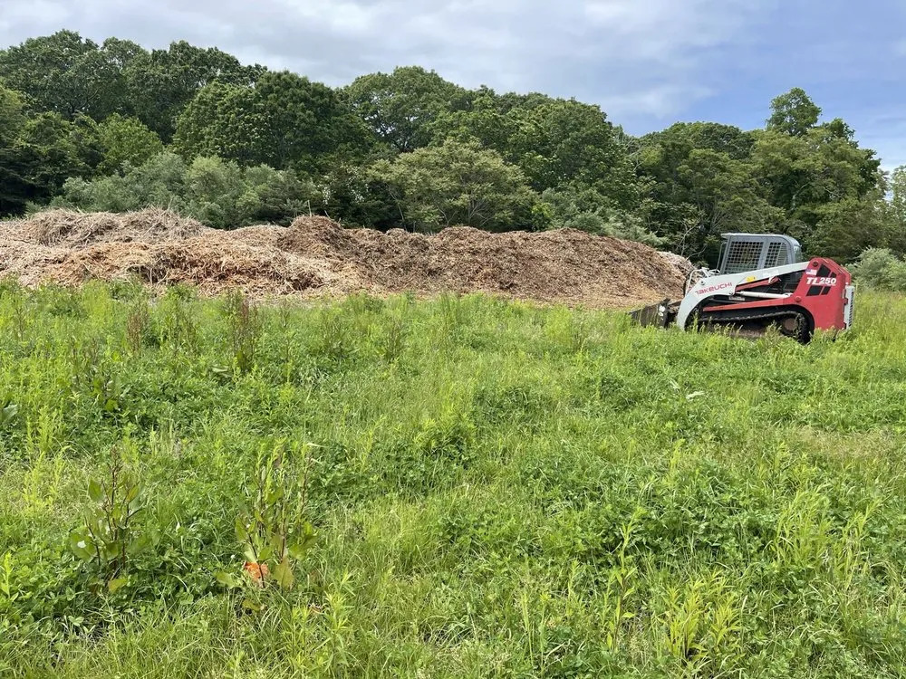 Reliable lawn care service for homes across Riverhead, NY - Treetola's Arbor Care Northfork