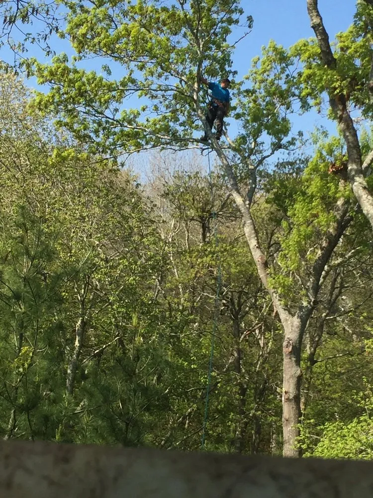 Reliable lawn mowing service for year-round maintenance across Riverhead, NY - Treetola's Arbor Care Northfork