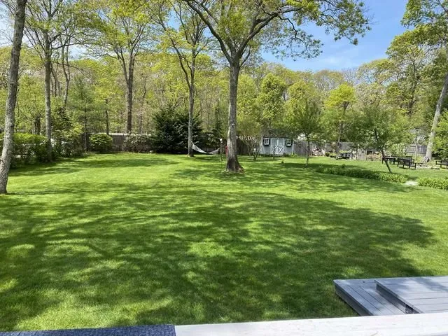 Trusted landscaping services in Riverhead, NY - Treetola's Arbor Care Northfork