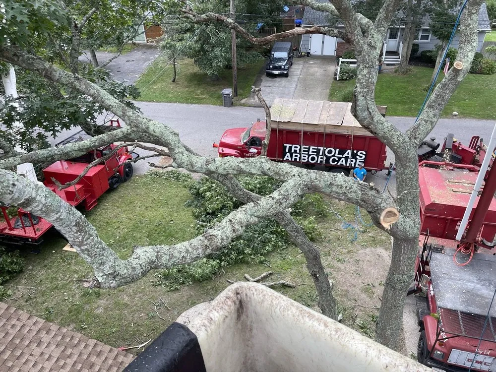 Professional residential landscaping experts serving Riverhead, NY - Treetola's Arbor Care Northfork