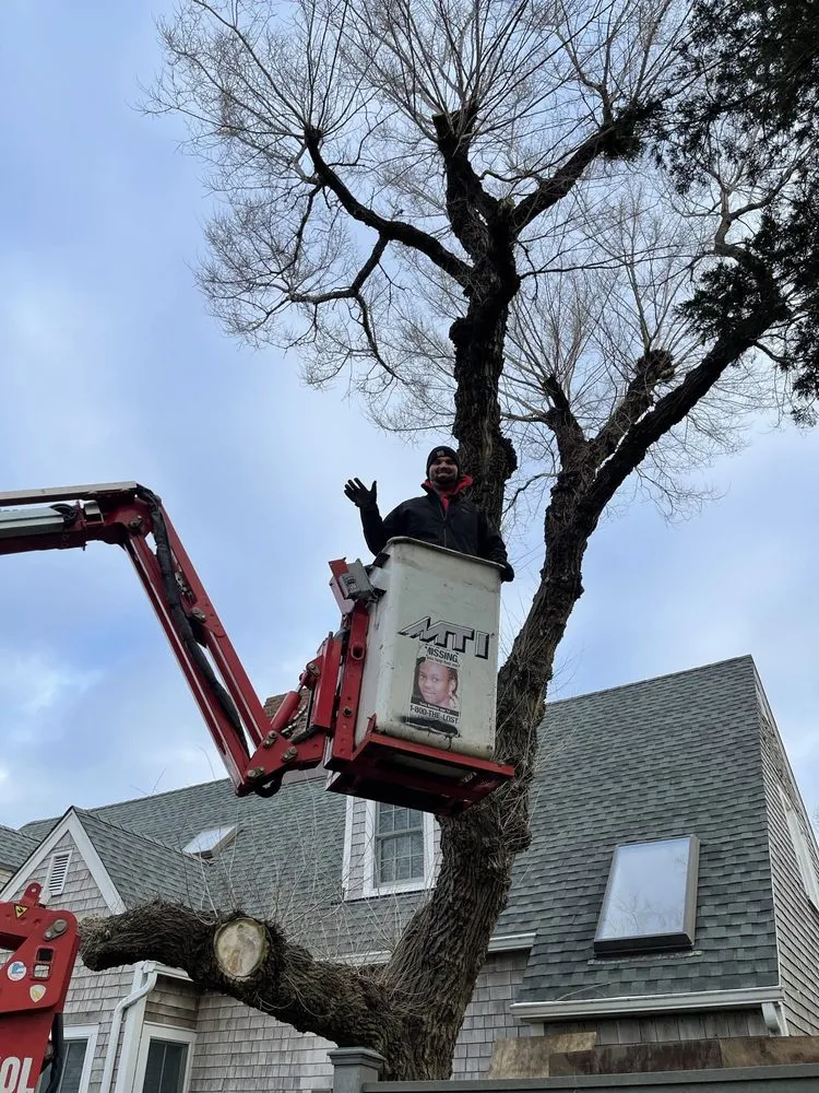 Reliable landscape installation experts serving Riverhead, NY - Treetola's Arbor Care Northfork