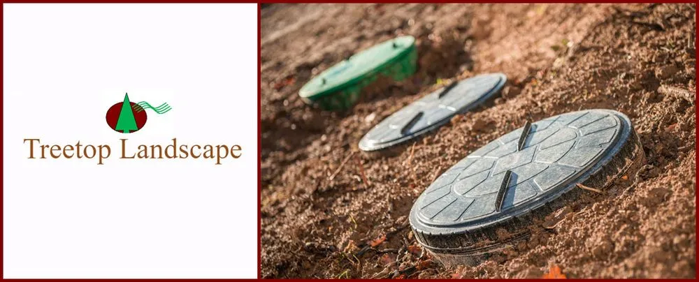 Custom yard cleanup service experts serving Gun Barrel City, TX - Treetop Landscape