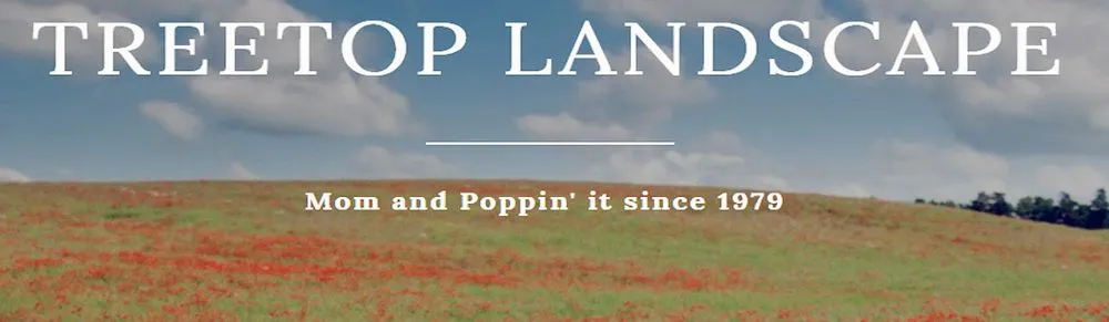 Trusted lawn care service experts serving Gun Barrel City, TX - Treetop Landscape