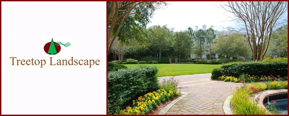 Top-rated yard cleanup service experts serving Gun Barrel City, TX - Treetop Landscape