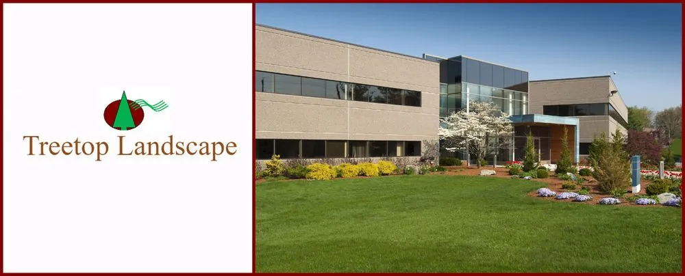 Trusted yard cleanup service for residential properties in Gun Barrel City, TX by Treetop Landscape