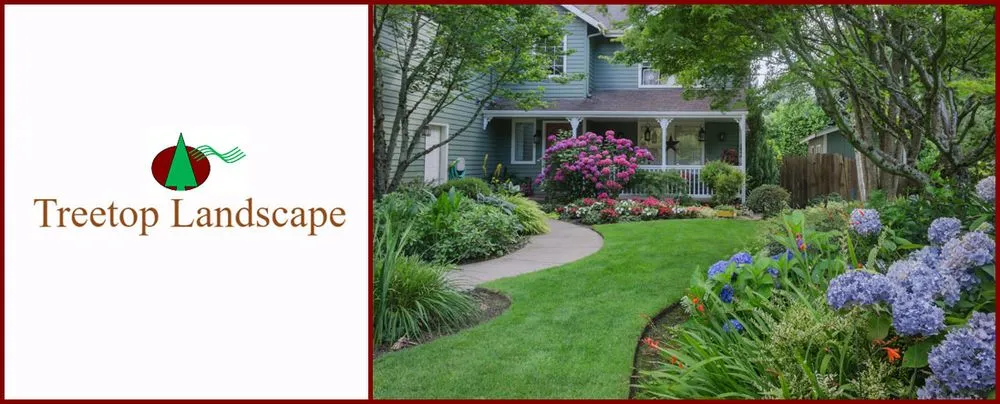 Professional outdoor landscaping experts serving Gun Barrel City, TX - Treetop Landscape
