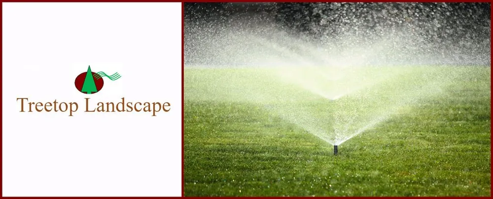 Affordable outdoor landscaping with custom design in Gun Barrel City, TX by Treetop Landscape