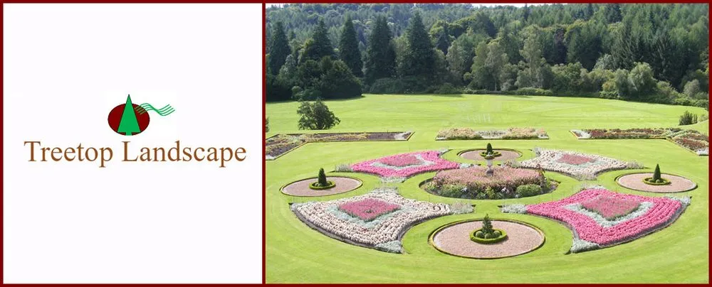 Professional yard cleanup service experts serving Gun Barrel City, TX - Treetop Landscape